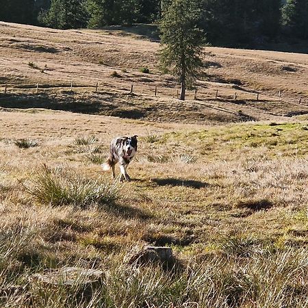 Kachelofenwohnung Pölzleitner Annaberg im Lammertal Exterior foto