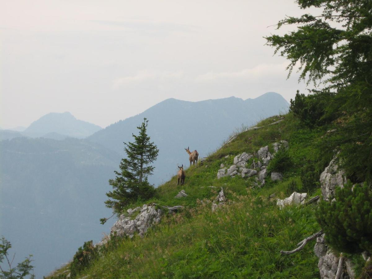Kachelofenwohnung Pölzleitner Annaberg im Lammertal Exterior foto