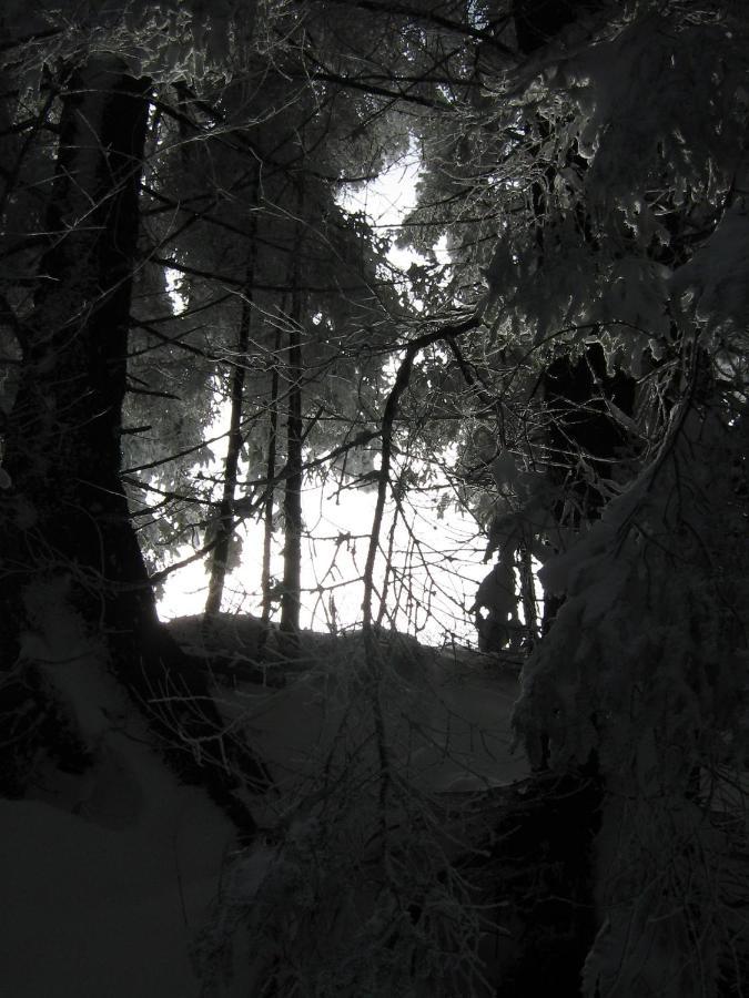 Kachelofenwohnung Pölzleitner Annaberg im Lammertal Exterior foto