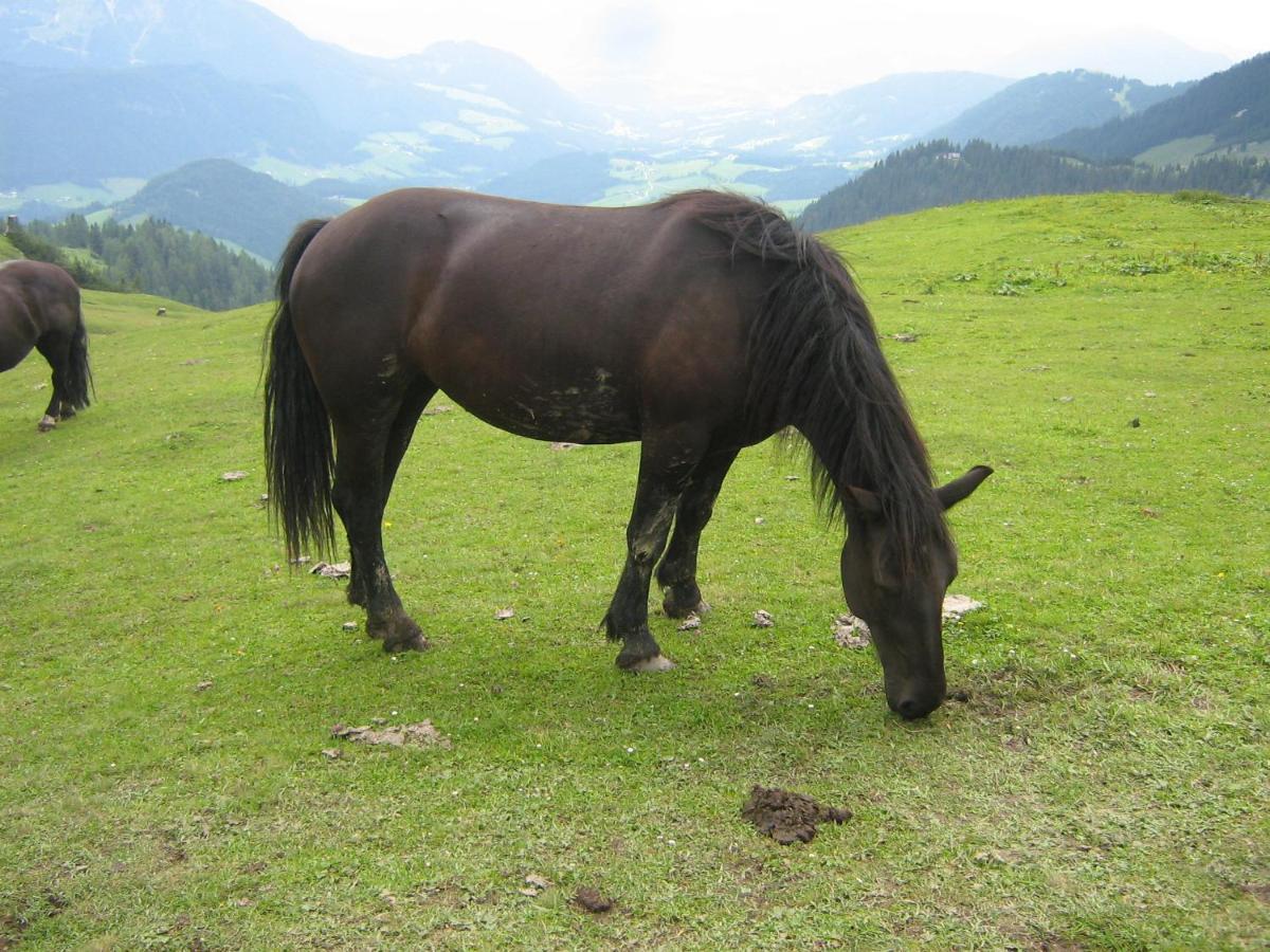 Kachelofenwohnung Pölzleitner Annaberg im Lammertal Exterior foto