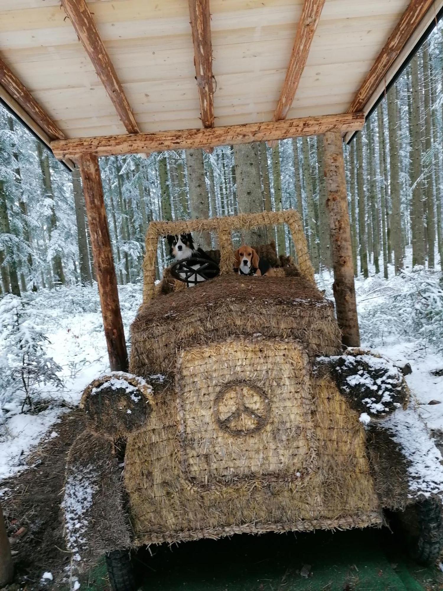 Kachelofenwohnung Pölzleitner Annaberg im Lammertal Exterior foto