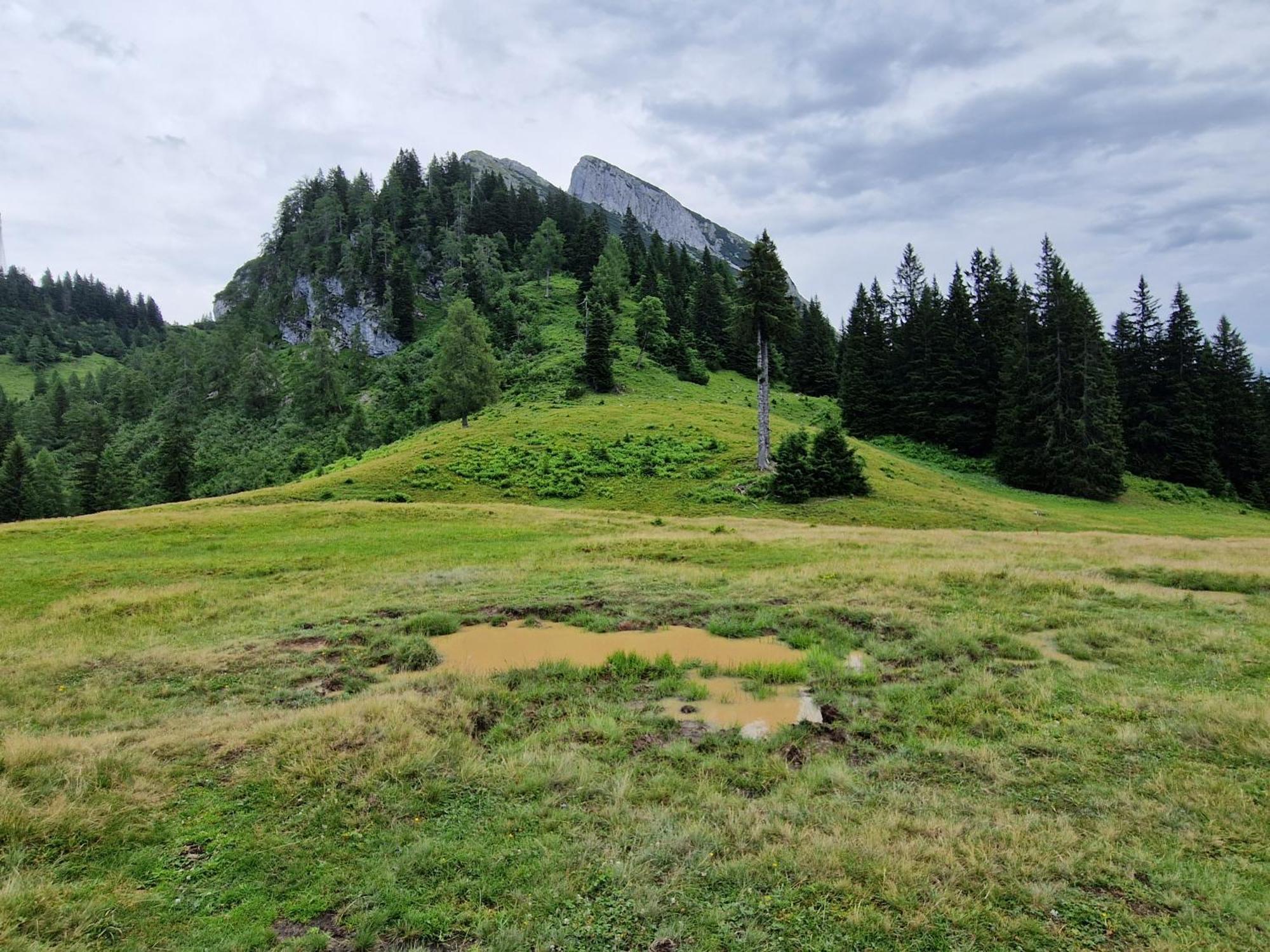 Kachelofenwohnung Pölzleitner Annaberg im Lammertal Exterior foto